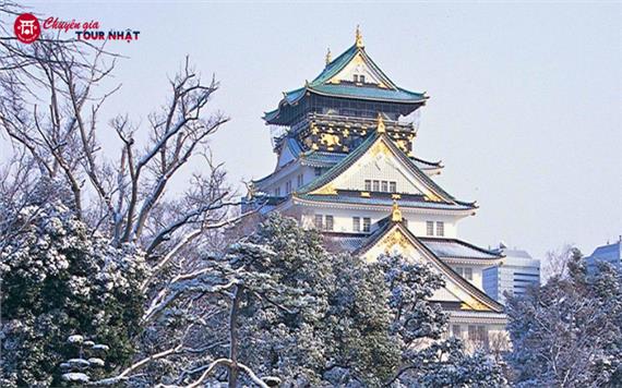 Tour Nhật Bản Đón Năm Mới 2026: Làng Cổ Tích Shirakawago